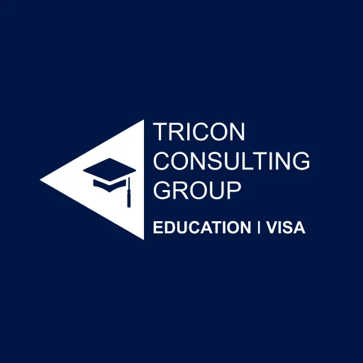 IT Consulting icon